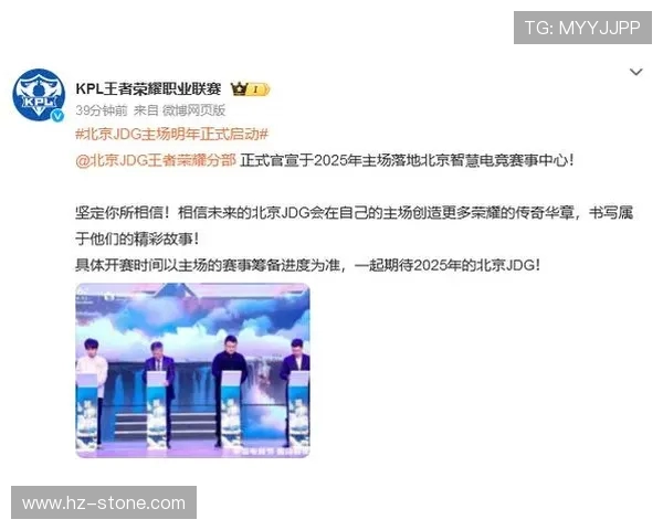 王者荣耀深度解析：揭秘JDG战队的默契与团队协作之道